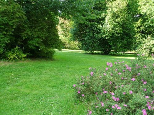 Mozart Guest House Seattle Bed And Breakfast Εξωτερικό φωτογραφία